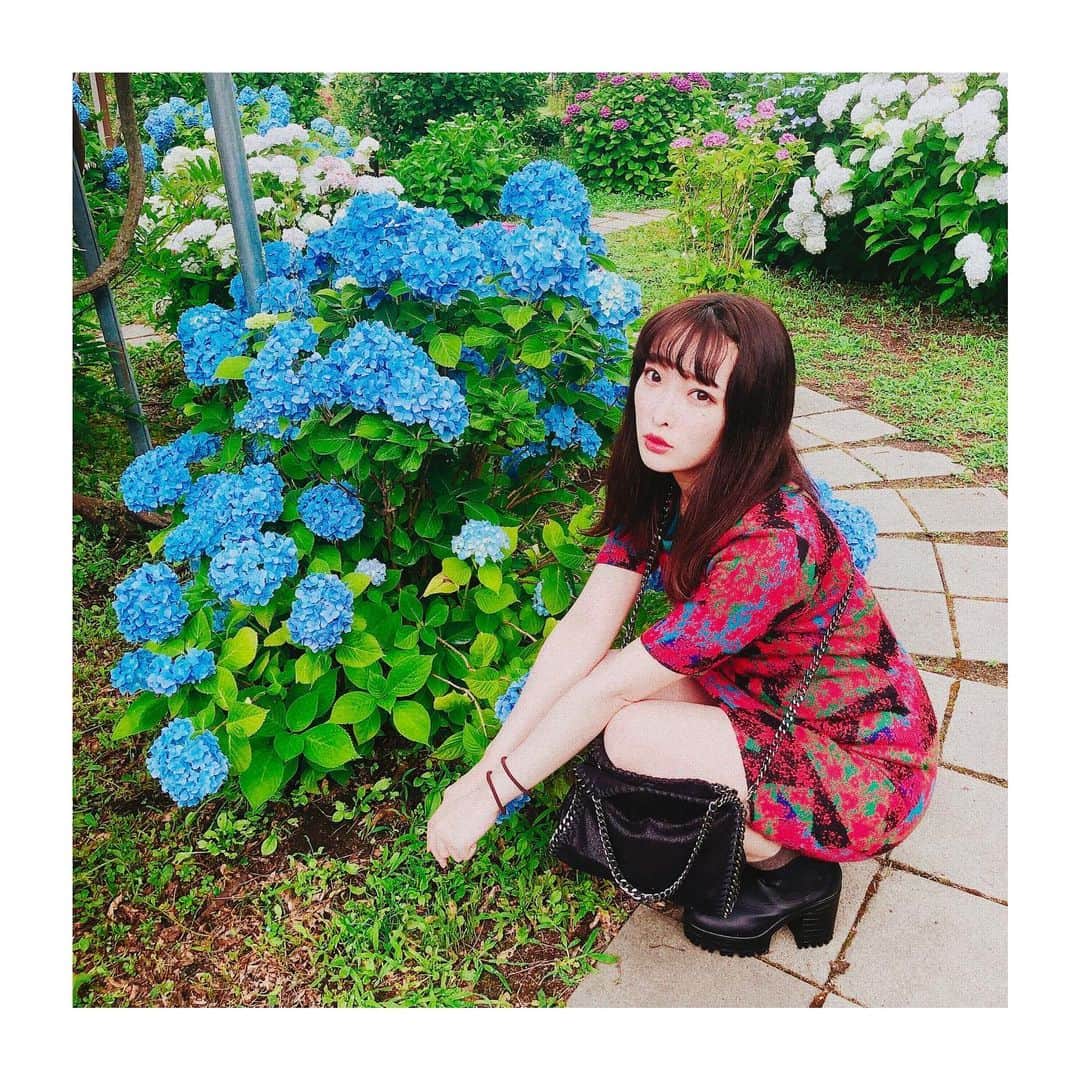 みなみのインスタグラム：「お気に入りの青の紫陽花！💙💚 #紫陽花#郡山#ハーブ園」