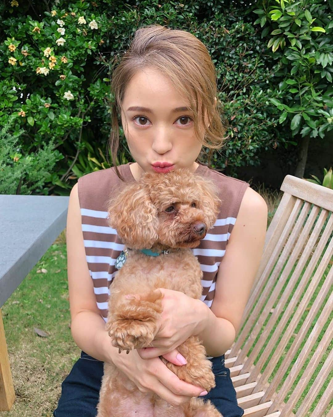 chayさんのインスタグラム写真 - (chayInstagram)「小次郎と似てきた🥰 #toypoddle #poodle」7月15日 21時23分 - chay1023_official