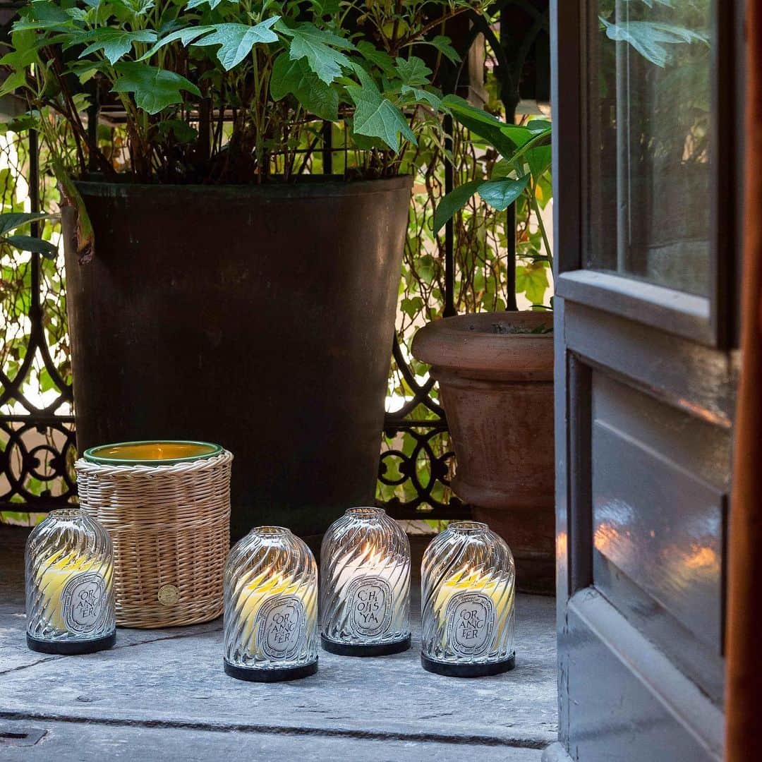 のインスタグラム：「diptyque’s refined Bazar collection extends to your home interior in September. Here the giant Figuier candle is hidding into a rattan candle holder... Available exclusively in Paris! #diptyque #diptyquebazar #staytuned」