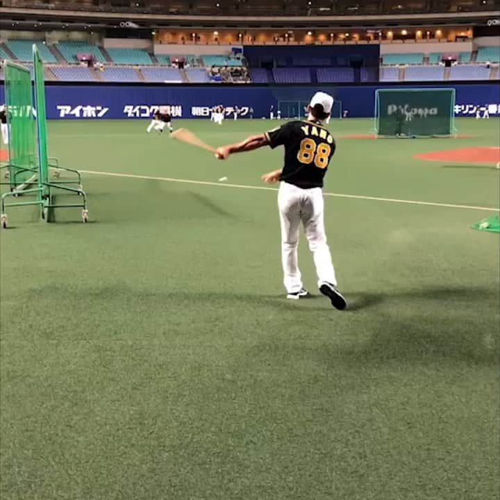 阪神タイガースのインスタグラム