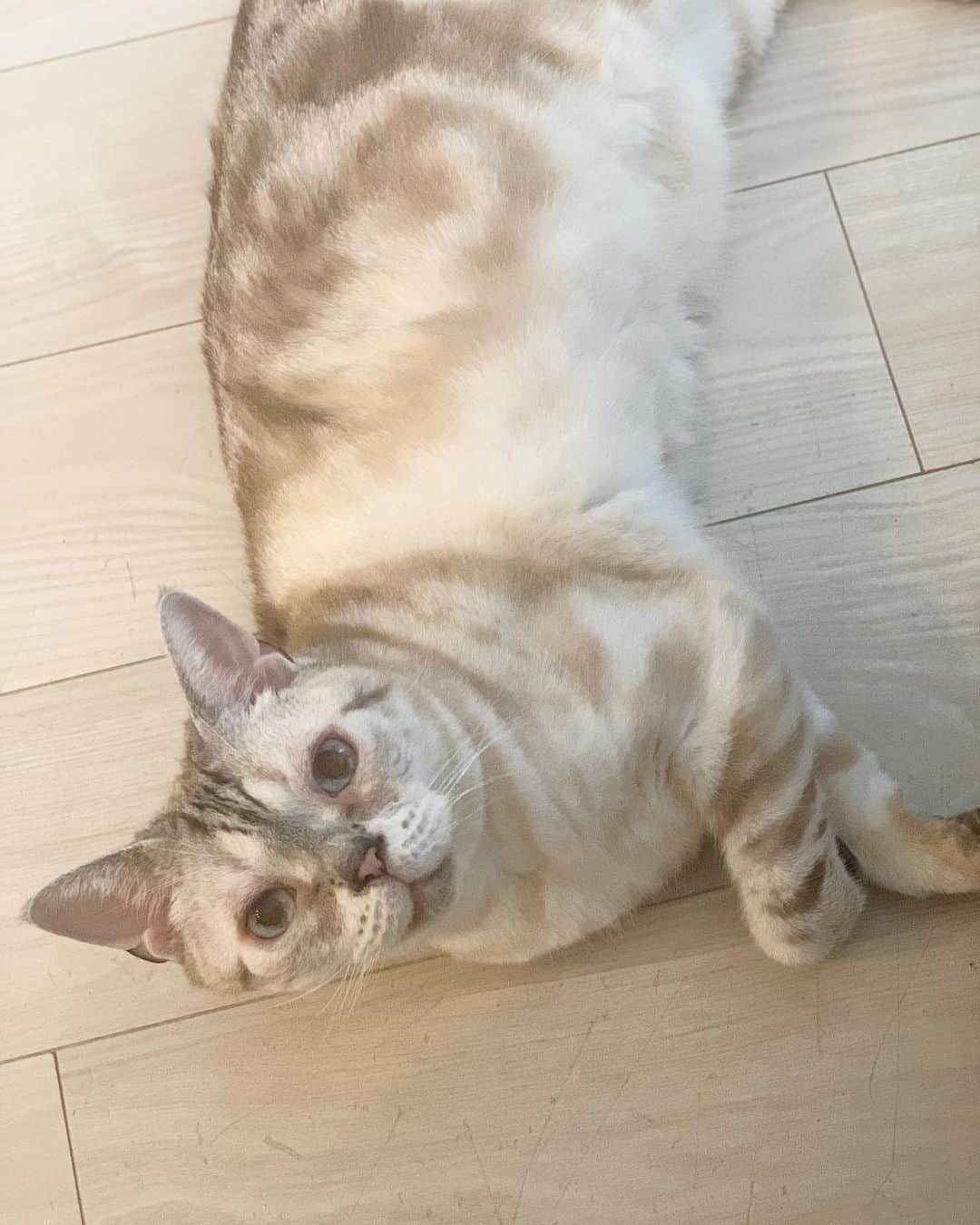 青山有紀のインスタグラム