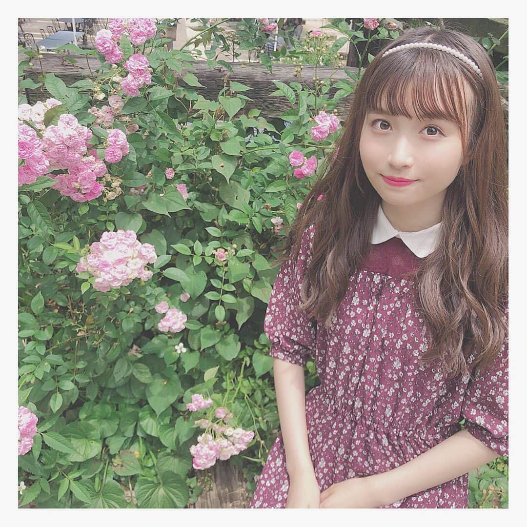 中野あいみさんのインスタグラム写真 - (中野あいみInstagram)「🎀🌿♡﻿ ﻿ ♥︎︎ - ♥︎︎ - ♥︎︎ - ♥︎︎ - ♥︎︎ - ♥︎︎ - ♥︎︎ - ♥︎︎ - ♥︎︎ - ♥︎︎ - ♥︎︎ - ♥︎︎﻿ - ♥︎︎﻿﻿ ﻿ #中野あいみ #あいみんぐらむ #梅雨 #今年の梅雨長すぎ #自然って素晴らしいね #梅雨明けたら外思いっきり走ろうっと #ピンクのお花かわいい ﻿#アカオハーブアンドローズガーデン #アカオハーブローズガーデン #アカオハーブ #熱海 #熱海観光 #家族」7月15日 17時00分 - nakano_aimi