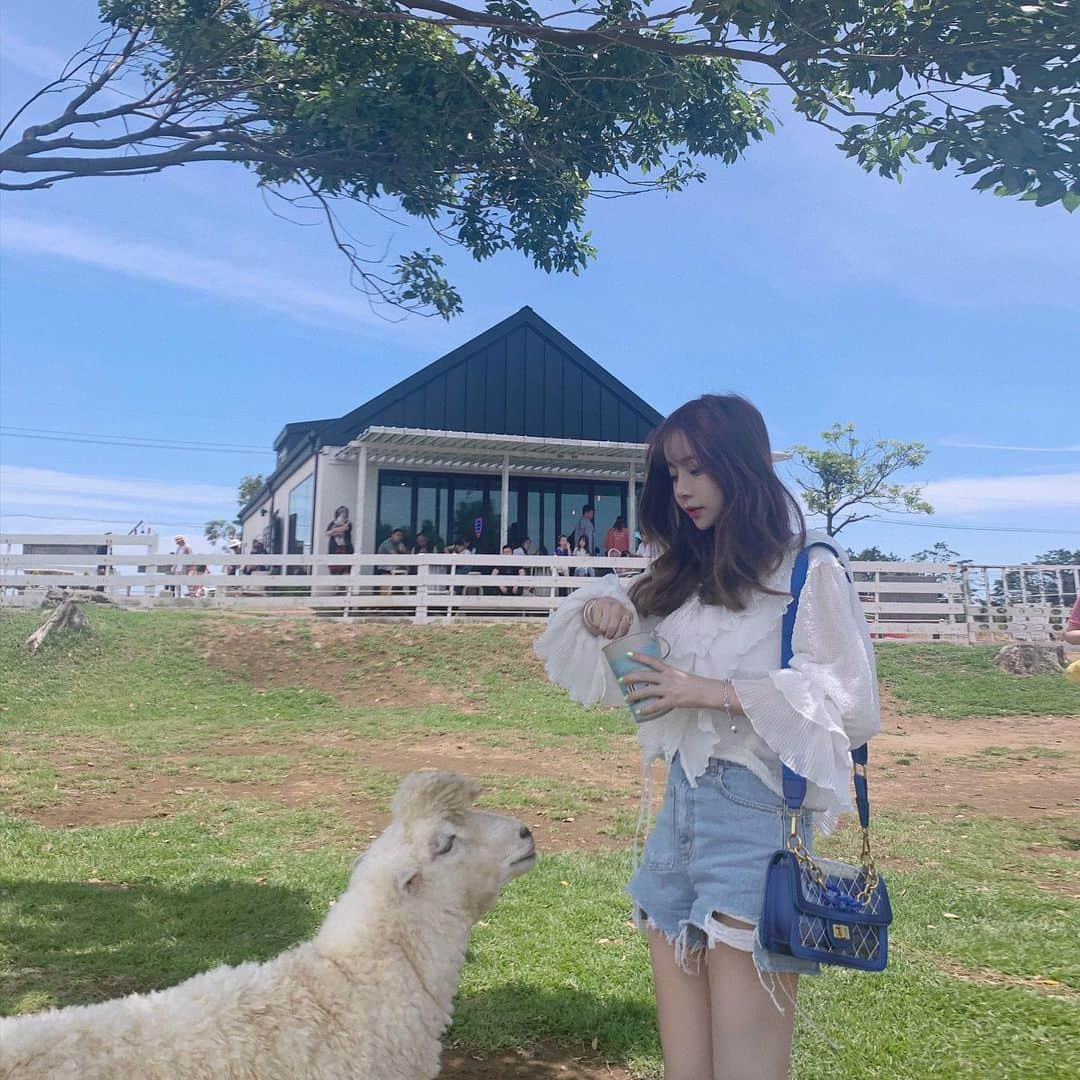 ジョンヨさんのインスタグラム写真 - (ジョンヨInstagram)「🐑👒✨」7月15日 17時20分 - imfishdo