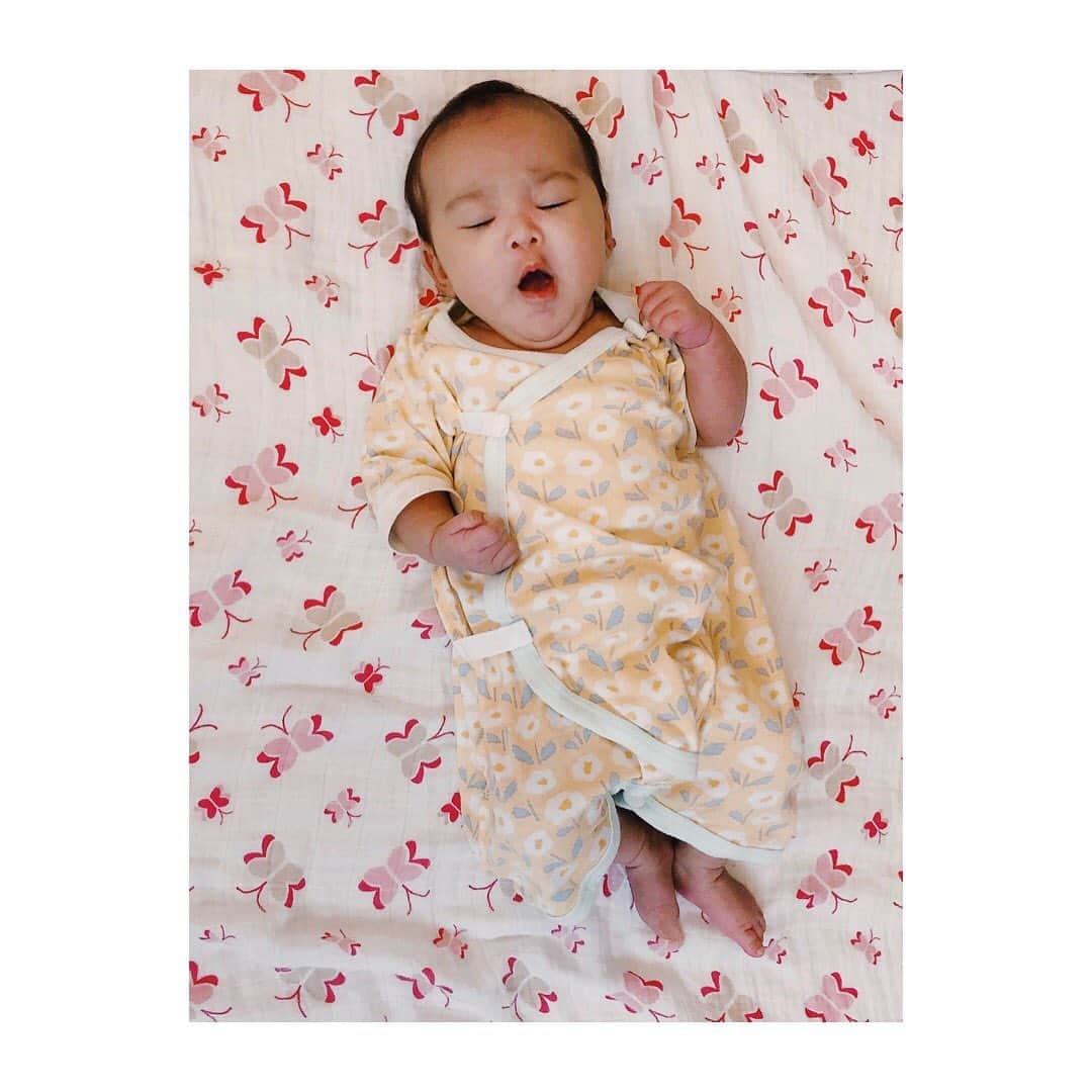 のインスタグラム：「Welcome to our planet!!🌍 Little princess..👼🏻And Shiroko got a little sister.🐈✨ Congratulations, Naoko!!!👩🏻💕」