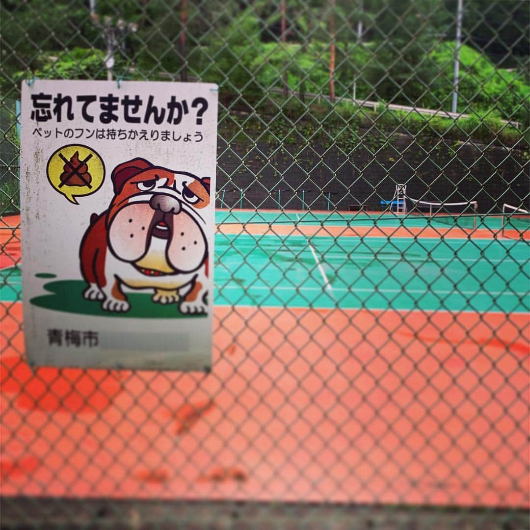 マシュー・チョジックさんのインスタグラム写真 - (マシュー・チョジックInstagram)「💩👟 #散歩中 #東京 #海の日に山 #Tokyo #onawalk #Japan #dog #かわいい #犬」7月15日 17時35分 - matthew_chozick