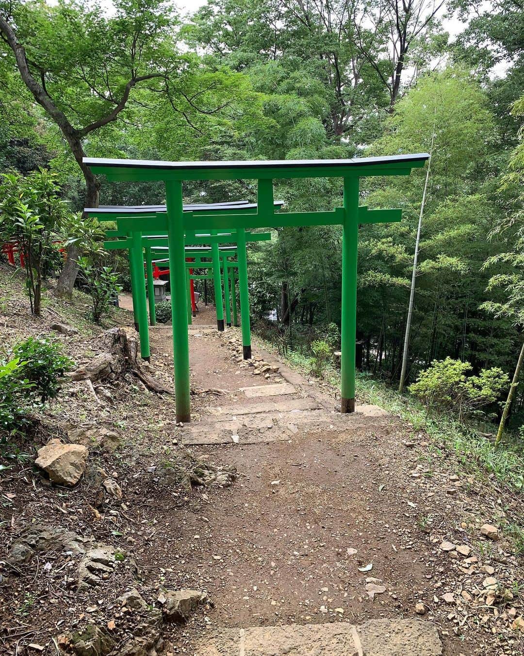 手島優さんのインスタグラム写真 - (手島優Instagram)「織姫神社にも行きましたよー⛩  ゆっくり参拝出来て嬉しかったです🤗  7色の鳥居キレイでした🌈✨ おみくじ引いたら大吉だったのだけど、ホントに大吉か？っていう内容。笑  ま、いっか✌️ 開運うたがいないとの事なので静かに待ちまひょーっと✨🍀✨ そーいえばこの日、、 雨だったのに織姫神社着いた時にはめちゃくちゃ晴れた☀️ 私ってばやっぱりスーパー晴れ女だわ🌞 強運てじーSUN✨  #織姫神社 #7色の鳥居 #みんなもぜひ #おみくじ #大吉 #今年おみくじ引くと全部大吉 #そんな気がする」7月15日 17時50分 - tejimayuu0827