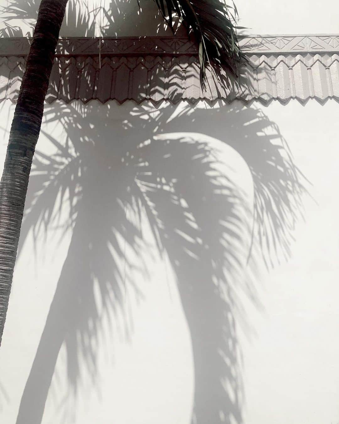 山中美智子さんのインスタグラム写真 - (山中美智子Instagram)「Good morning Miami 🌴  実はまだ5時半🤣  娘は 5時に目覚めた🐚」7月15日 18時32分 - alexiastam1988