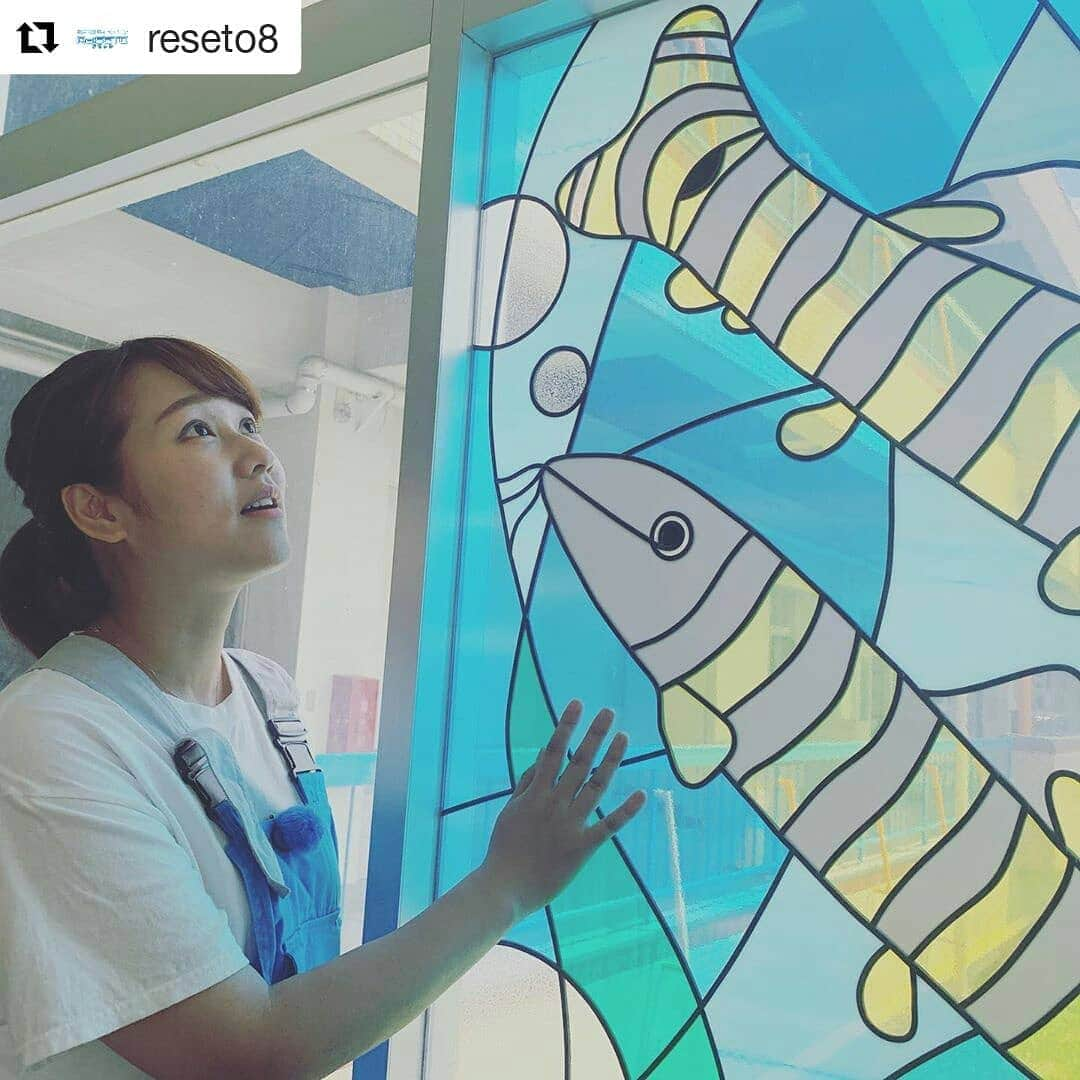 岡山放送さんのインスタグラム写真 - (岡山放送Instagram)「#Repost @reseto8 (@get_repost) ・・・ 次に会いに行く絶滅危惧種は、こちらです！ しま模様が特徴の、この魚🐟 これまでで最難関？！ヘトヘトになりました😅😅😅😅😅 #矢野みなみ #リセット #絶滅危惧種 #絶滅危惧種ハンター #サザエさん×#OHK#環境キャンペーン Re:SETOの放送は 7/27(土)ごご3時～ 前の日､26日ごご3時50分は#前回の再放送｡ #予習 の上､#本放送 を是非､ご覧下さい！」7月15日 19時14分 - ohk_official