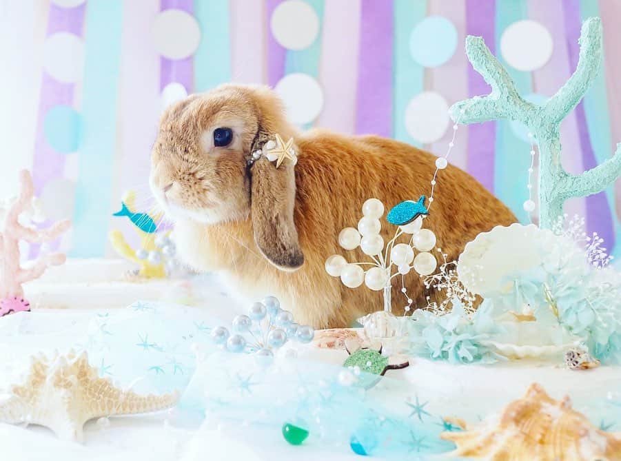 usagraphのグルメインスタ