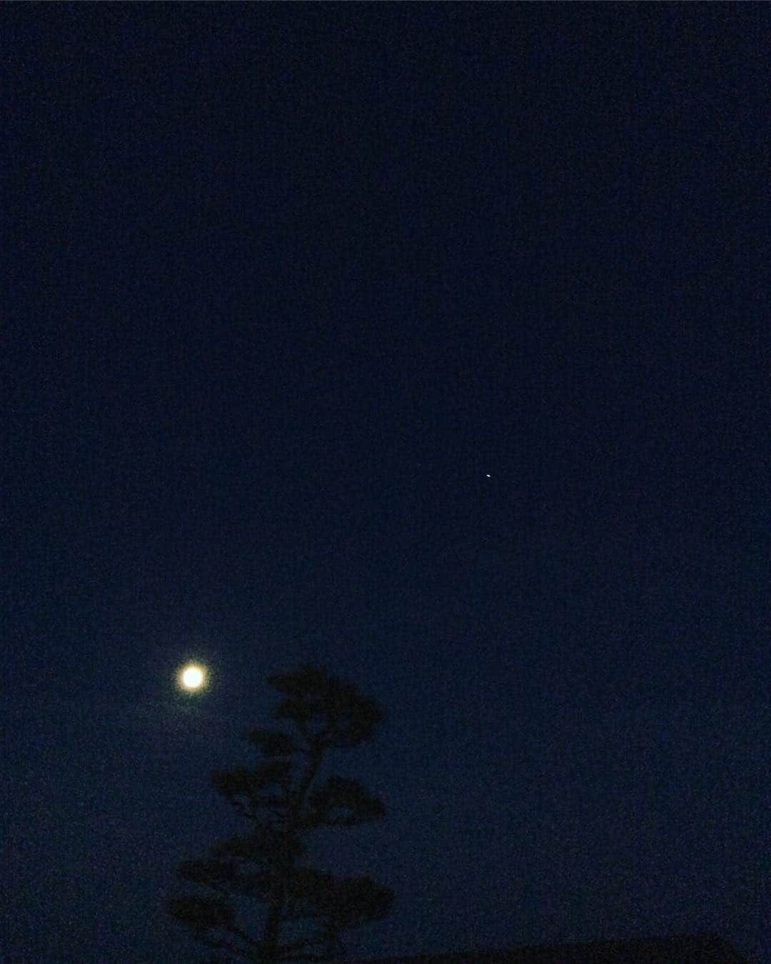 祥吉のグルメインスタ