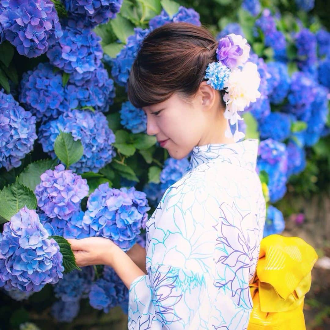 丸山裕理さんのインスタグラム写真 - (丸山裕理Instagram)「. そろそろ花火大会が近い。 いいな夏、今年もきっとあっという間！ . #artofjapan #japantravel #lovers_nippon #team_jp_portrait #daily_photo_jpn #japan_daytime_view #nipponpic #kimono  #lovers_nippon_portrait  #Ajisai #hydrangea #rainyseason  #japan_of_insta #discovertokyo  #jp_mood #jp_portrait部 #art_of_japan_  #tokyocameraclub #impression_shots  #梅雨 #紫陽花 #夏祭り #花火大会 #広がり同盟  #写真好きな人と繋がりたい #浴衣 #浴衣コーデ #ポトレ撮影隊 #アナウンサー #フリーアナウンサー」7月15日 22時23分 - yuri_maruyama1213