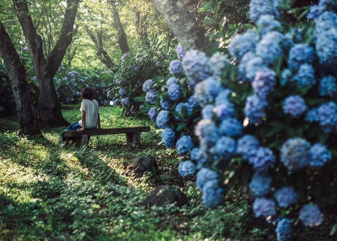 Sonoda COO Yukiyaさんのインスタグラム写真 - (Sonoda COO YukiyaInstagram)「雨あがり After Rain  #instagram  #beautifuldestinations  #earthpix  #earthfocus  #kyotophotographer  #tokyophotographer  #proposal #proposalphotographer #tokyoproposal #kyotoproposal #proposalphotographer #prewedding #tokyoprewedding #kyotoprewedding #preweddingphotographer  #tokyopreweddingphotographer #kyotopreweddingphotographer  #wedding #tokyowedding #kyotowedding #tokyoweddingphotographer #kyotoweddingphotographer」7月15日 22時20分 - coo_travelphoto