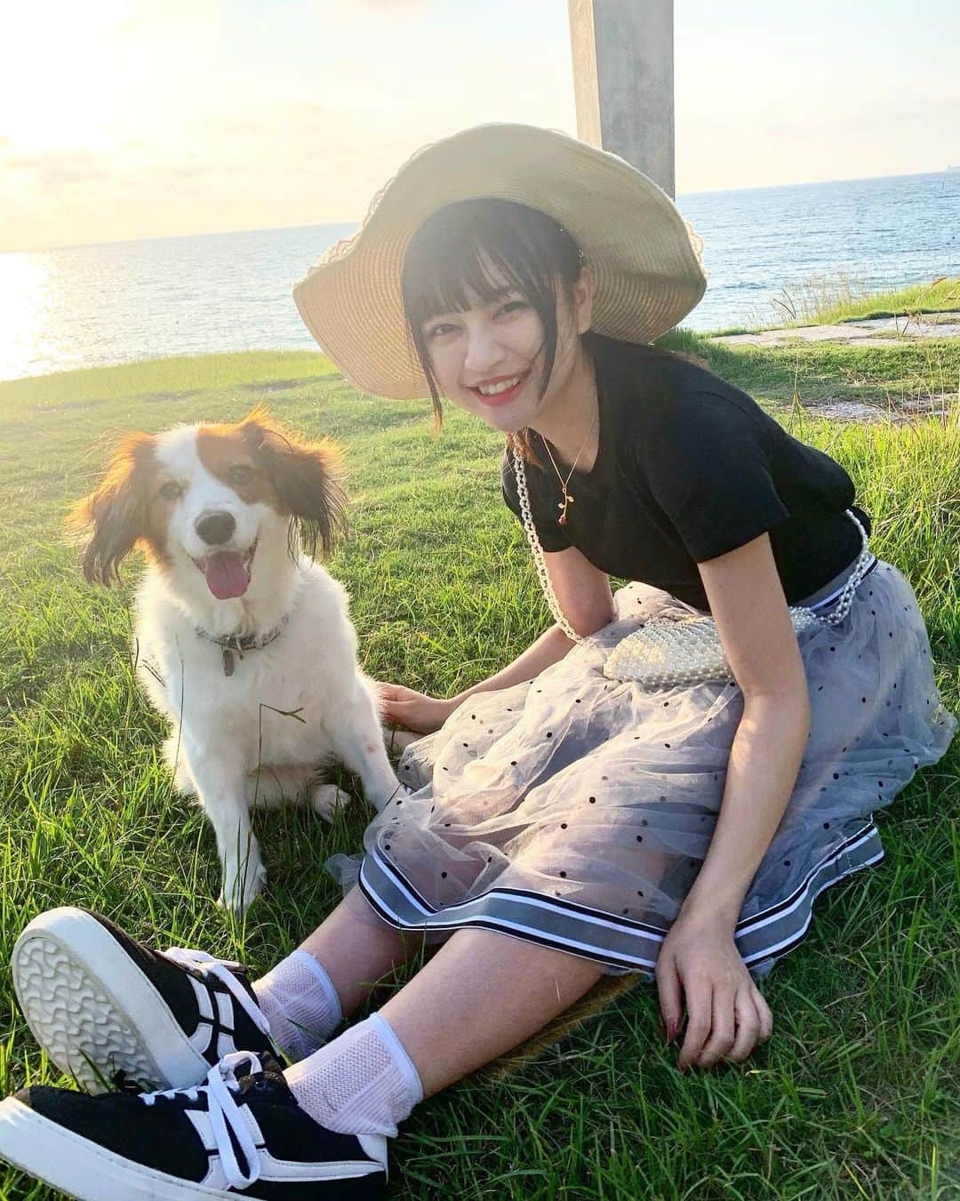 廣川奈々聖さんのインスタグラム写真 - (廣川奈々聖Instagram)「．﻿ ﻿ ﻿ 良い写真撮れた🐶❤︎だいすきなわんこ(うちのペット)です﻿ ﻿ ﻿ ﻿ #ぼんあんなぼんの成長記録 #コイケル #コーイケルホンディエ #犬好きさんと繋がりたい #🐾」7月15日 22時25分 - nanaseven7_u_u