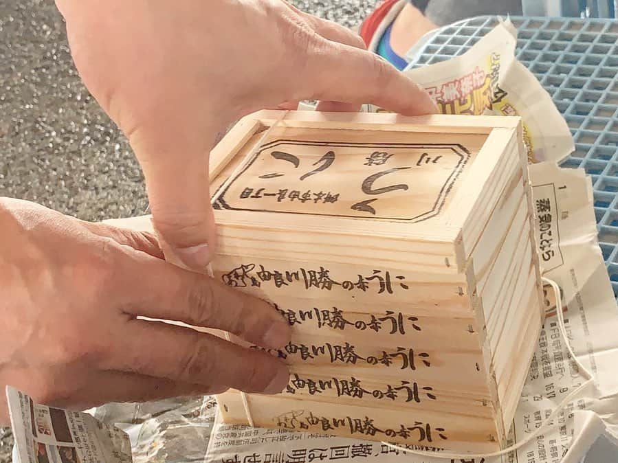 のインスタグラム：「この連休のお休みは、 淡路島へ行ってきました🏃‍♂️💨. . いつもお世話になっている家族の皆様にくっつき虫さしてもらって連れてって頂き、一緒にアクティブに過ごせて感謝でいっぱい😭🙇‍♂️✨. . 夜はなんと漁港で地元の漁師さんたちのBBQに参加させて頂いて、新鮮なウニやアワビサザエなどを焼いたり、お肉を焼いたりと、こんな豪華なBBQあっていいんかな？って位幸せ時間を過ごしました🙇‍♂️. . 初めて会う方々と喋る時間も、 初めて会う子供達とワーワー花火する時間も、全部ぜーんぶ楽しすぎて人見知り度が下がってました。. . 稲富、今年の夏も楽しませて頂いてます🙇‍♂️🍺. . #淡路島 #淡路島の夏 #漁港 #BBQ #感謝 #夏 #連休の幸せ #有難い #花火 #久々やった #綺麗だったよ」