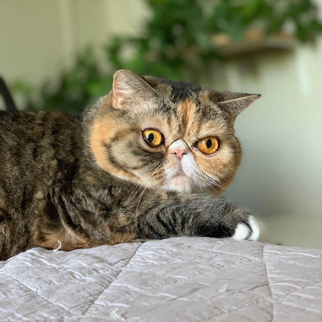 Tinaのインスタグラム：「Monday 😳」