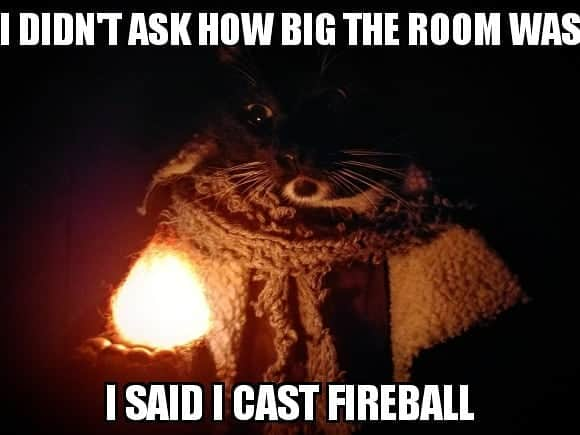 猫コスプレさんのインスタグラム写真 - (猫コスプレInstagram)「GM: *tears up meticulous description and npc sheet*  #DungeonsandDragons . . . . . . . . #Wizard #dnd #dndmemes #fireball #catcostume #catcosplay #cosplay #catsinclothes #petcostumes #spellcaster #critters #calebwidogast #criticalrolecosplay #calebwidowgastcosplay」7月15日 22時52分 - cat_cosplay