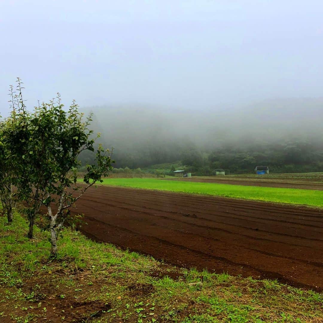 鈴木絢子さんのインスタグラム写真 - (鈴木絢子Instagram)「・ ・ 地上は#天気雨 、#霧 に覆われた伊豆の山畑見学。 ひんやりした空気がすごく美味しくて✨最高でした🤗 ・ お昼に地元浜松以外の静岡県内で初めてうなぎを食べました(ﾟωﾟ)が、これまた美味しかったです✨ ・ ・ ・ #さつまいも畑 #働く女性 #食育 #オーガニック畑 #自然と触れ合う #さつまいも美容 #出張 #農業女子 #無添加 #うなぎ #うなとろ #川善 #静岡県民 #土用の丑 #woman #organic #natural」7月15日 23時00分 - ayako_suzuki810