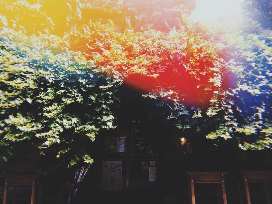 紗羅マリーのグルメインスタ