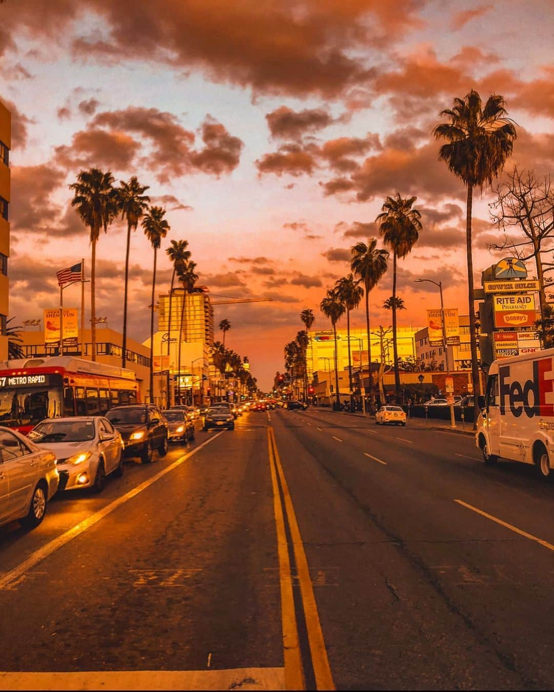 scottlippsさんのインスタグラム写真 - (scottlippsInstagram)「Back in the land of CBD and Palm trees, Goodmorning #losangeles #cali #sunsetblvd @nothingnew」7月16日 0時20分 - scottlipps