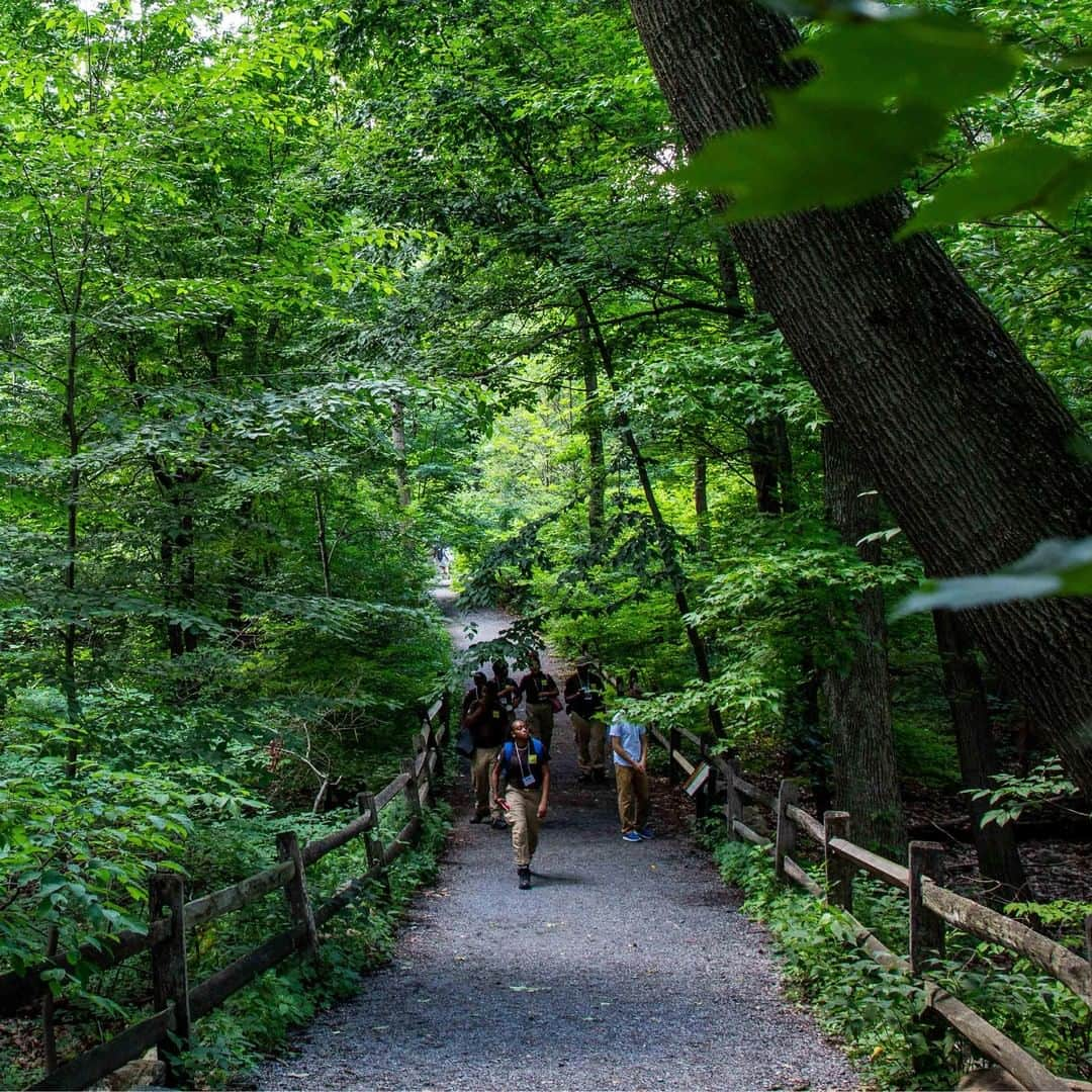 ニューヨーク植物園さんのインスタグラム写真 - (ニューヨーク植物園Instagram)「We're getting ready here at the Garden for this Wednesday's Green Industry Intern Field Day, and there's still time for you to RSVP if you work in the field. Don't miss this free opportunity to hear from industry leaders during talks in Ross Hall, go on expert-led tours with NYBG curators, and take part in fun and games during our annual barbecue. Hit the link in our bio to register!」7月16日 0時50分 - nybg