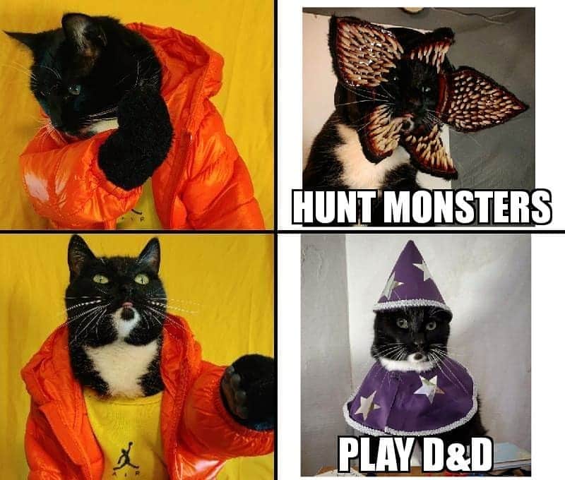 猫コスプレさんのインスタグラム写真 - (猫コスプレInstagram)「Priorities . . #StrangerThings #WillTheWise . . . . . . . . . #StrangerThings3 #strangerthingscosplay #dnd #dungeonsanddragons #canwepleaseplaydndnow  #catcosplay #catsinclothes #cats #cosplay #wizard #funnycats #Demogorgon #meme #memes #catmemes #drakememe」7月16日 6時46分 - cat_cosplay