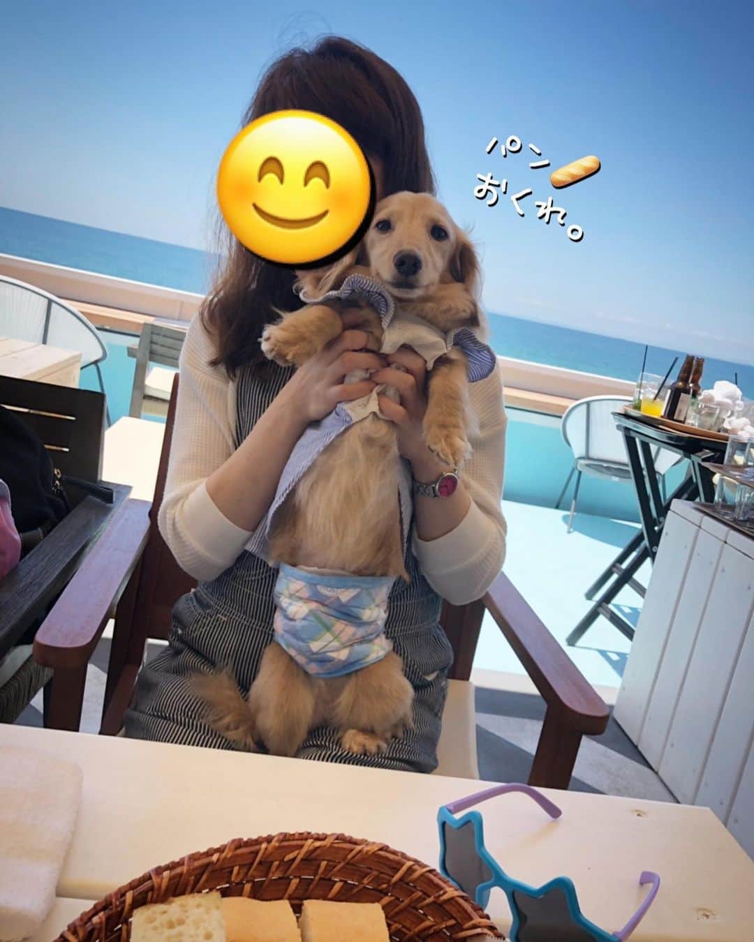 チズのグルメインスタ