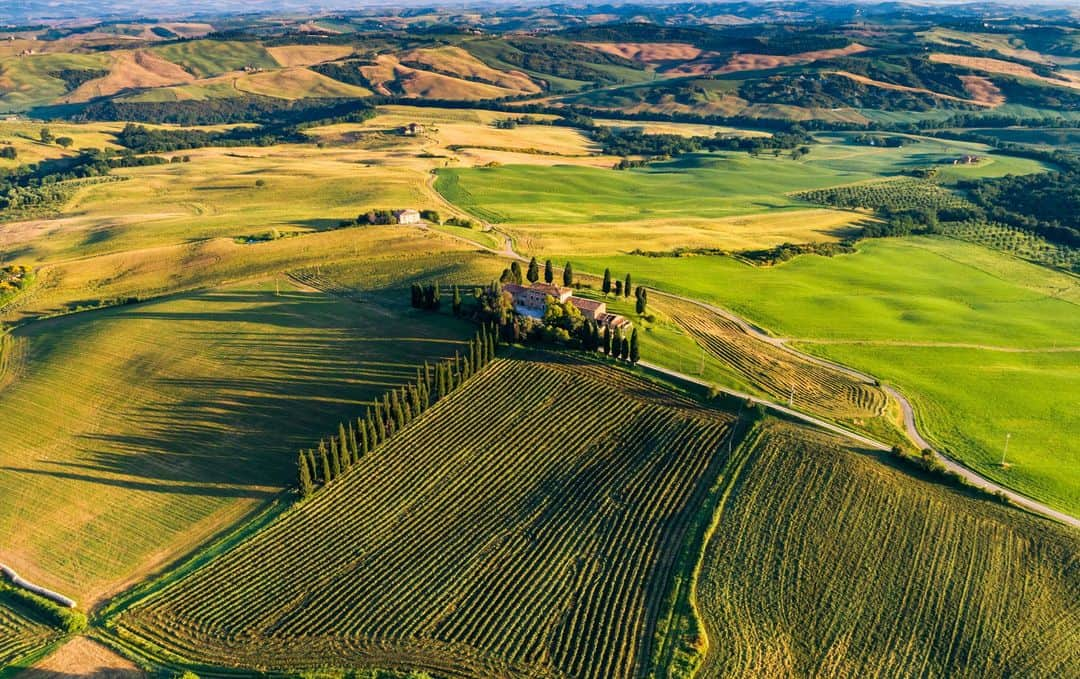 アクアディパルマさんのインスタグラム写真 - (アクアディパルマInstagram)「Which one of our fragrances is inspired by this land? . . #acquadiparma #blumediterraneo #cipressoditoscana #cipresso #italianstyle #summer #summerfragrance」7月16日 2時00分 - acquadiparma