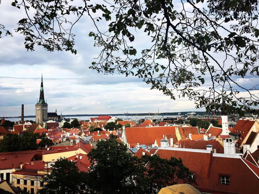 山崎直之さんのインスタグラム写真 - (山崎直之Instagram)「Tallinn✌️ #魔女の宅急便 #おとぎの国 #旧市街」7月16日 3時45分 - naoyuki_yamazaki