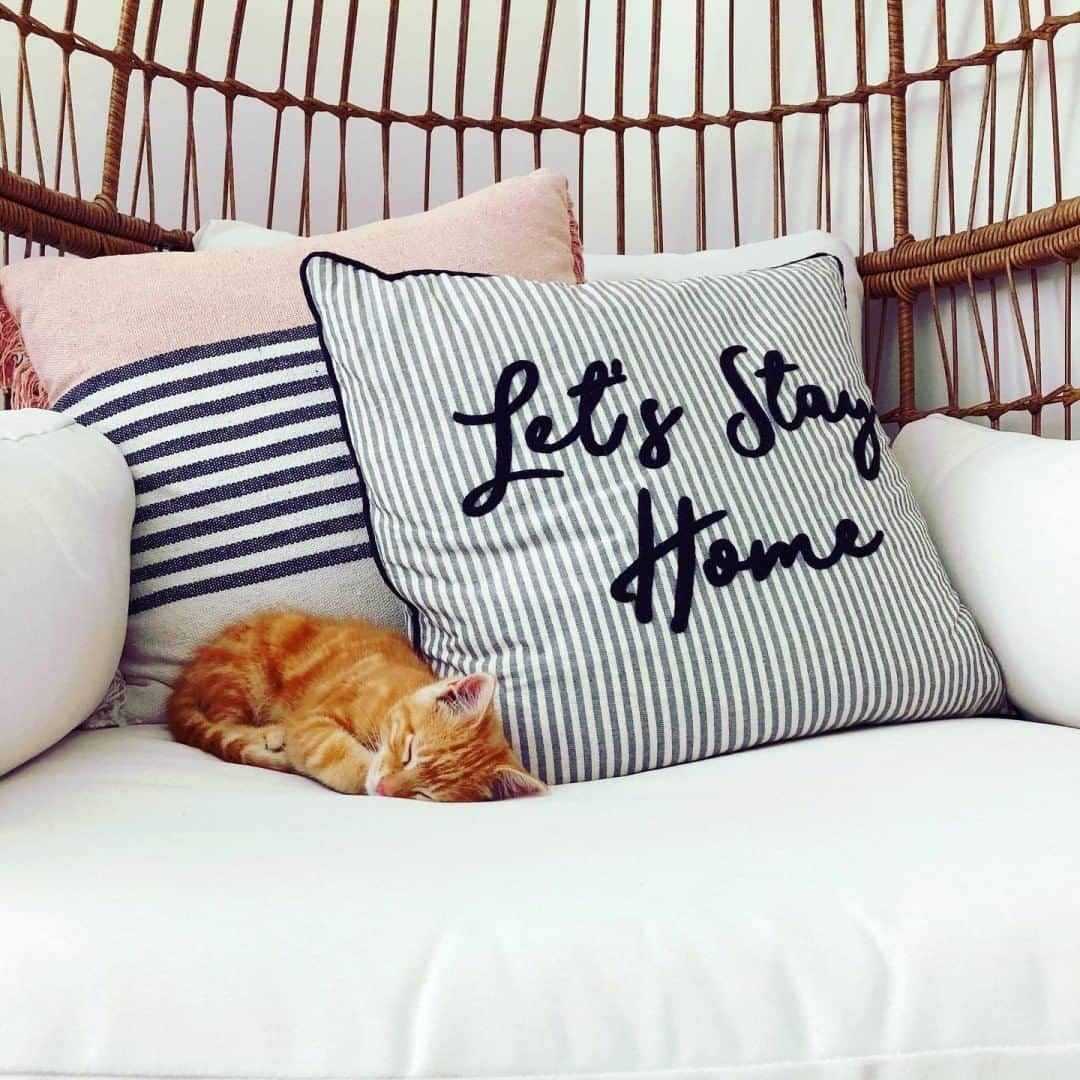 HomeGoodsさんのインスタグラム写真 - (HomeGoodsInstagram)「Let’s stay home, or just go to HomeGoods #mondayvibes (📷: @aubs2314) #GoFinding」7月16日 5時01分 - homegoods