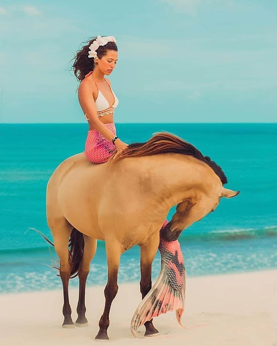 シャーニ・ヴィンソンさんのインスタグラム写真 - (シャーニ・ヴィンソンInstagram)「What my soul looks like.. 🐴🏝🧜🏻‍♀️」7月16日 14時37分 - sharnivinson