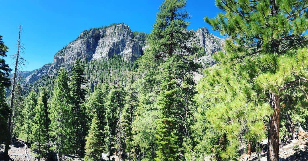 村主章枝さんのインスタグラム写真 - (村主章枝Instagram)「Nice views  #hiking  #lasvegas  #lasvegasactivities  #ラスベガス  #ラスベガス生活」7月16日 15時00分 - fumie.suguri