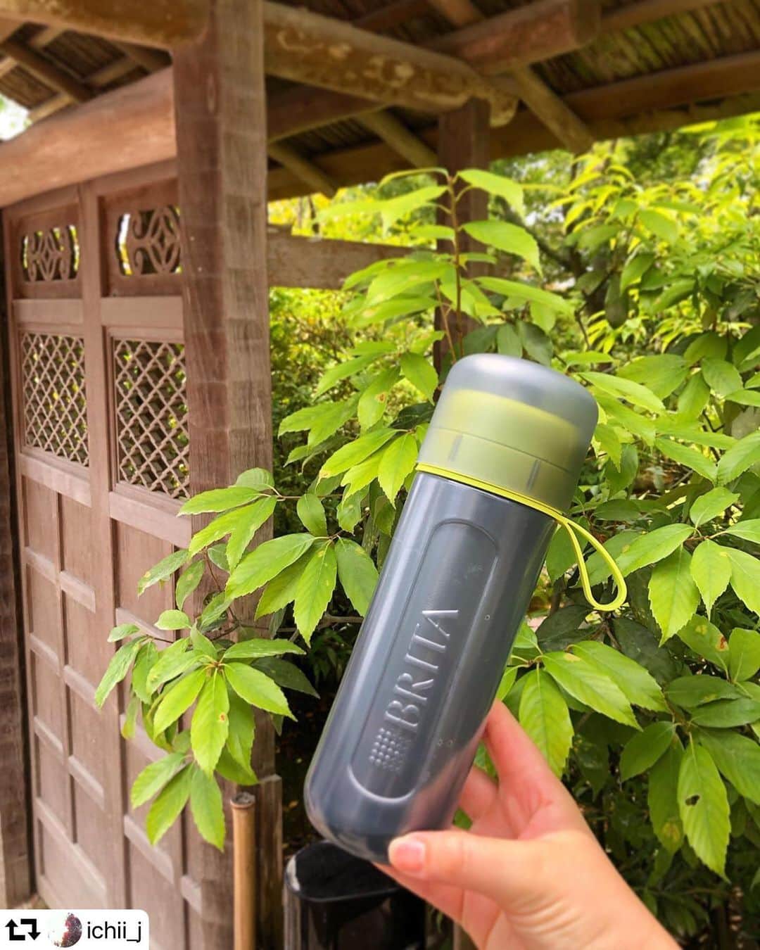 BRITA Japanのインスタグラム：「【旅のお供にブリタ Fill & Go Active】﻿ @ichii_j さんの投稿をリポストさせていただきます。﻿ ﻿ #repost #thankyou #fillandgo #fillandgoactive #浄水器 #マイボトル #エコ #eco #水分補給 #観光 #通勤﻿ ﻿ ・・・﻿ ⁂﻿ これ旅行中、重宝したーーーーー✨﻿ 【BRITA  fill&go Active(フィルアンドゴー アクティブ)】﻿ ㅤㅤㅤㅤㅤㅤㅤㅤㅤㅤㅤㅤㅤ﻿ お茶を入れておく保温マグを持ち歩いていたんだけど、﻿ この季節は、保温より量！！﻿ マグからこれに代えて3日間、フル回転で活用しました！﻿ (わたし、飲み物は常温派なので特に愛用✨)﻿ ㅤㅤㅤㅤㅤㅤㅤㅤㅤㅤㅤㅤㅤ﻿ ㅤㅤㅤㅤㅤㅤㅤㅤㅤㅤㅤㅤㅤ﻿ しかも観光地って飲み物買えない箇所も多くて💦﻿ 気軽に水道水を入れるだけで美味しいお水になるから﻿ 本当ーーーーーーっに便利でした(*´-`)💕﻿ ㅤㅤㅤㅤㅤㅤㅤㅤㅤㅤㅤㅤㅤ﻿ 美味しくて、ごくごく飲んじゃう！﻿ 今日も通勤中に1回全部飲みきっちゃった😊﻿ ㅤㅤㅤㅤㅤㅤㅤㅤㅤㅤㅤㅤㅤ﻿ ㅤㅤㅤㅤㅤㅤㅤㅤㅤㅤㅤㅤㅤ﻿ 旅行中、ギラッギラの晴天だったので﻿ 飲む日焼け止めも、難なく飲めました。﻿ (いつもサプリを、お茶で飲むの躊躇してたんだよね)﻿ ㅤㅤㅤㅤㅤㅤㅤㅤㅤㅤㅤㅤㅤ﻿ お水のおいしさ、再実感したーーーーーー✨✨﻿ ㅤㅤㅤㅤㅤㅤㅤㅤㅤㅤㅤㅤㅤ﻿ ㅤㅤㅤㅤㅤㅤㅤㅤㅤㅤㅤㅤㅤ﻿ ㅤㅤㅤㅤㅤㅤㅤㅤㅤㅤㅤㅤㅤ﻿ ⁂BRITA(ブリタ)﻿ @brita.japan .﻿ ㅤㅤㅤㅤㅤㅤㅤㅤㅤㅤㅤㅤㅤ﻿ #nu_trip #旅のお供 #BRITA #ブリタ #水筒 #ロフトコスメ #熱中症対策 #2枚目ピント変w #水 #TYO #JPN #奈良公園をダッシュした思い出 #暑かった #旅行」