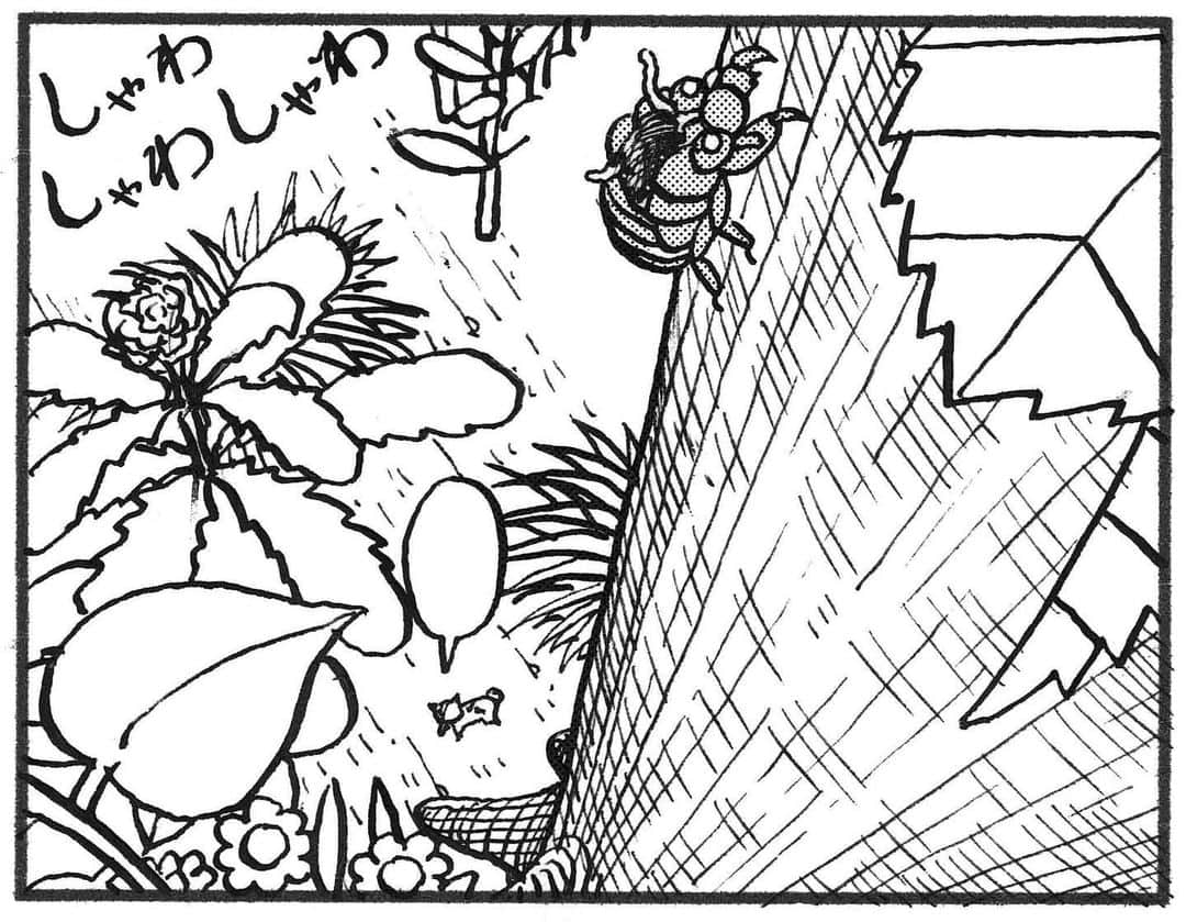 相原コージさんのインスタグラム写真 - (相原コージInstagram)「『こびとねこ』発売中です。 #こびとねこ #ねこ漫画 #ねこ#こびと #セミ #抜け殻 #小小猫 #thumbcat #cat #manga」7月16日 15時33分 - kojiaihara