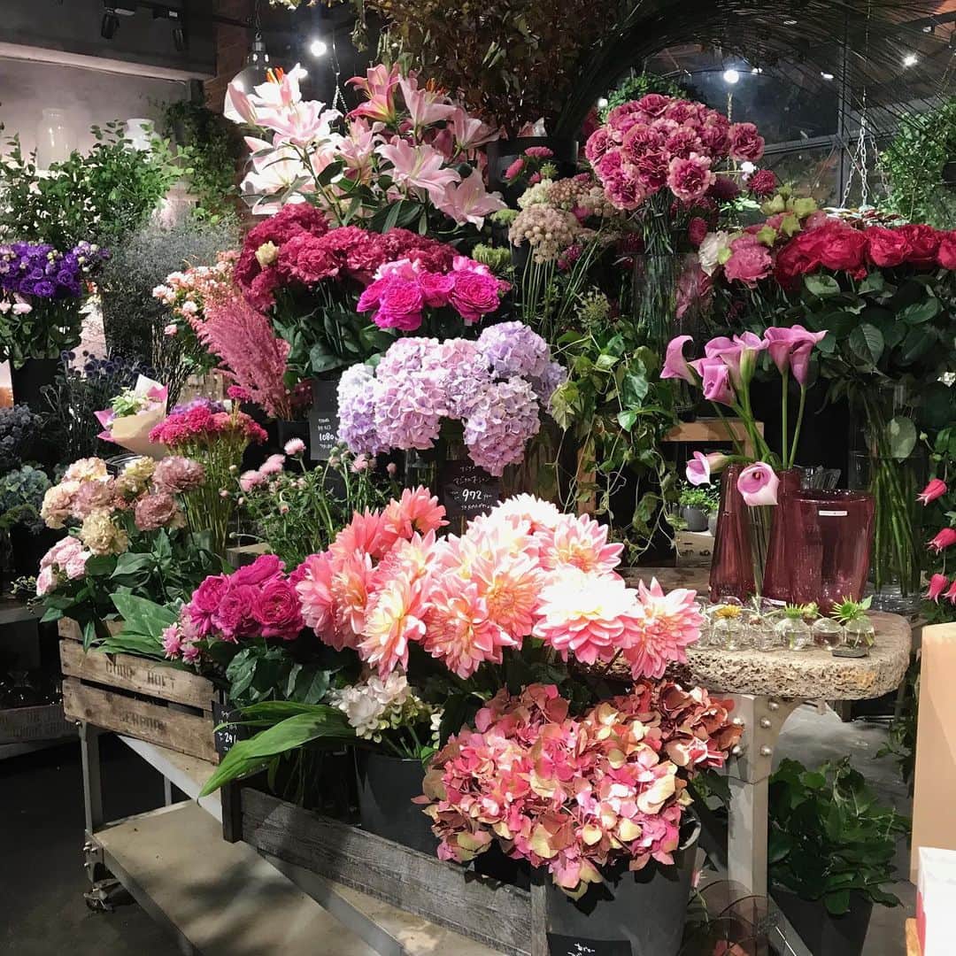 フレシャス公式(FRECIOUS) さんのインスタグラム写真 - (フレシャス公式(FRECIOUS) Instagram)「梅雨空の3連休。 . 「どこかきれいなものを見に出かけよう！」と、 表参道の「Aoyama Flower Market TEA HOUSE」に行ってきました。 . 「温室”をコンセプトとした花と緑に囲まれた空間は、 季節ごとに違ったテーマの花で彩られます。 今回のテーマは「ひまわり」で、気分はすっかり夏！ 壁一面がポトスに覆われ、元気が出そうな鮮やかなひまわりが、部屋中に飾られています。 . のんびりフレンチトーストと、 ローズ入りの紅茶を飲んで、のんびり。 . やっぱり緑や自然に囲まれると、心も癒されます。 . 最近、ドライフラワーでリースやスワッグ作りに夢中な私。帰りには併設されているお花屋さんで、「ドライフラワーにもきれいになるもので・・・」と、店員さんにお願いをして、花材を買ってきました^^ . 梅雨の時期ももうすぐ終わり。 . 梅雨の合間は、体の不調も感じやすいもの。 みなさんもきれいなもの、いい香りのもの、 自分が心地よいと思うものに触れて、 乗り切ってくださいね！ . #フレシャスカフェ部 . （編集部K） . ─────────────── ★ほぼ毎日更新中★ こちらよりフォローしてください♪ ↓　↓　↓ 【フレシャス公式】 @frecious_official ─────────────── . #フレシャス #ウォーターサーバー #flower #sunflower #ひまわり #向日葵 #ドライフラワー #フレンチトースト #frenchtoast #dryflower #花 #温室 #梅雨 #aoyamaflowermarket #青山 #表参道 #teatime #ティータイム #ローズティー #紅茶」7月16日 15時36分 - frecious_official