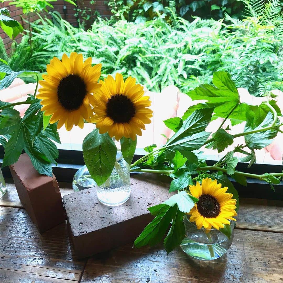 フレシャス公式(FRECIOUS) のグルメインスタ