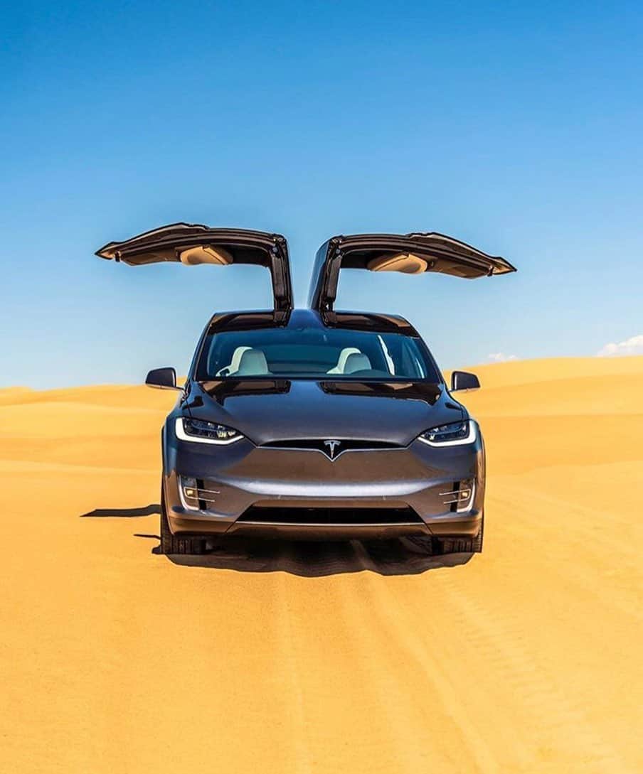 Teslaのインスタグラム：「A wild Model X in its natural habitat 🦅 | 📸 by @fromwhereicharge」