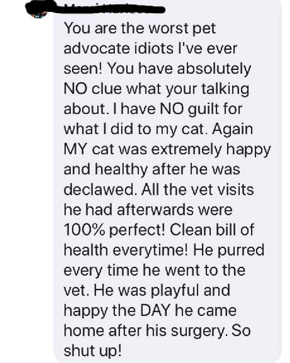 City the Kittyさんのインスタグラム写真 - (City the KittyInstagram)「Here is a comment on our Facebook page from a lady in West Michigan who has been deceived by her unethical declawing veterinarian and who doesn’t want to take the time do a little research about the awful truth about this inhumane amputation procedure. 😾 #cognitivedissonance  We are under attack by people in this area who are upset that our campaign to inspire companies to take a stand against declawing is working.  More about this on my Facebook post. #joinus  #stopdeclawing  #pawsneedclaws  When debate is lost, slander becomes the tool of the losers. 😾」7月16日 8時36分 - citythekitty