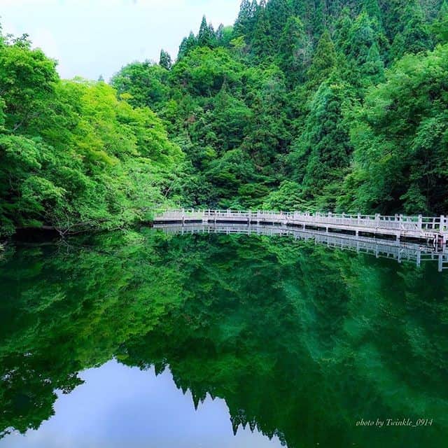 楽天トラベル さんのインスタグラム写真 - (楽天トラベル Instagram)「. #滋賀県 にある #もみじ池  その名の通り秋はもみじが赤く色づきますが 初夏には青々とした新緑が水面に映ります。 . @twinkle_0914photo さん 素敵なお写真の提供ありがとうございました💓 . ************************ 旅先で撮った素敵な写真に @rakutentravel をタグ付けしてシェアしてね♪ 厳選してこのアカウントで紹介させていただきます！ ************************ . #楽天トラベル #旅 #旅行 #旅に出よう #旅行好きな人と繋がりたい #日本 #일본 #rakutentravel #travel #trip #japan #instagramjapan #IG_JAPAN #japantrip #lovetraveling #カメラ #写真 #shiga」7月16日 9時54分 - rakutentravel