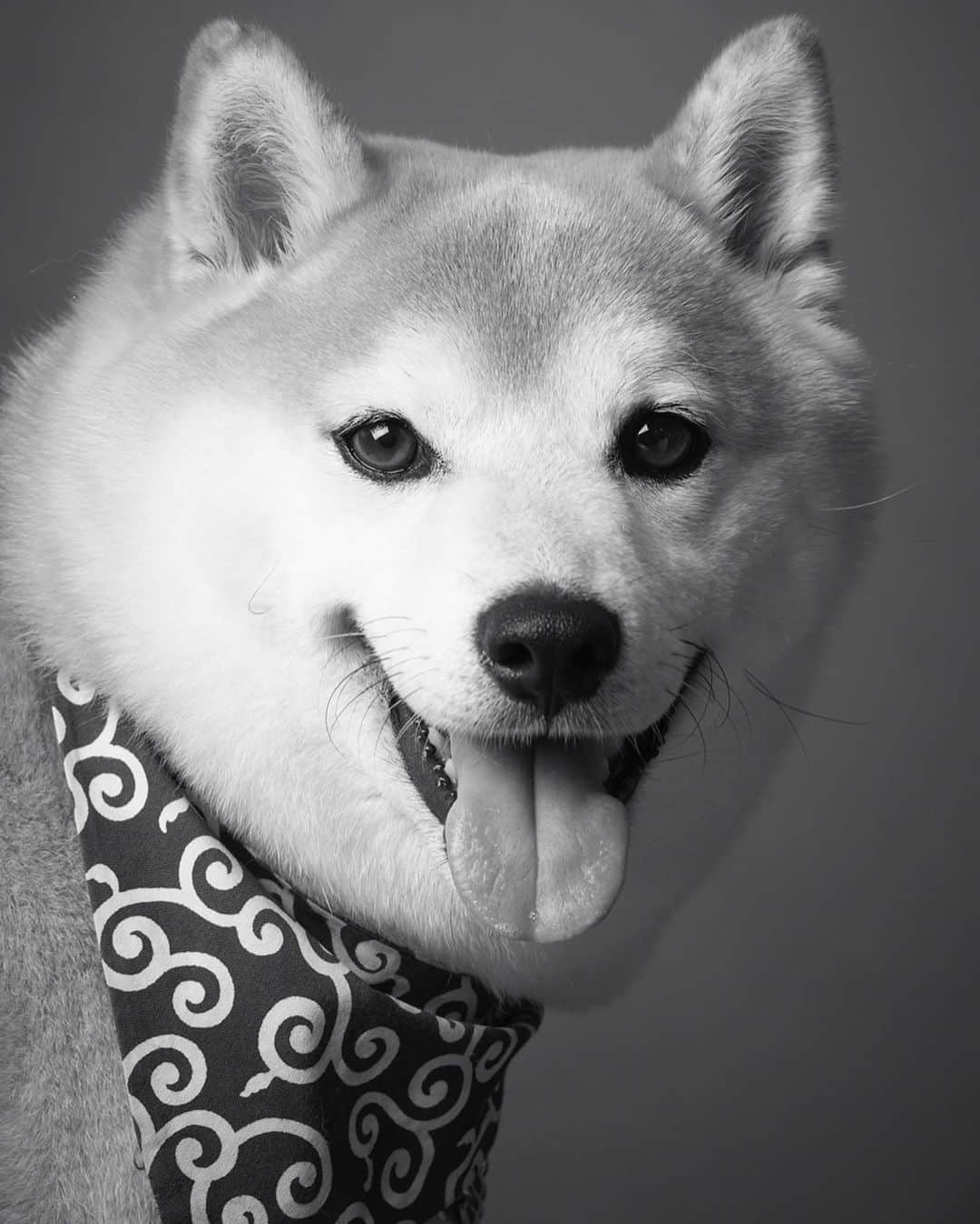 豆助左衛門（まめすけざえもん）のグルメインスタ