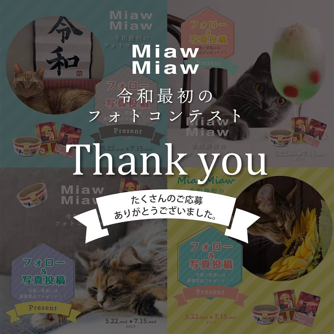 MiawMiawのインスタグラム