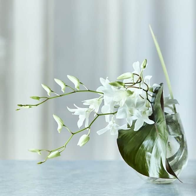 青山フラワーマーケットのグルメインスタ