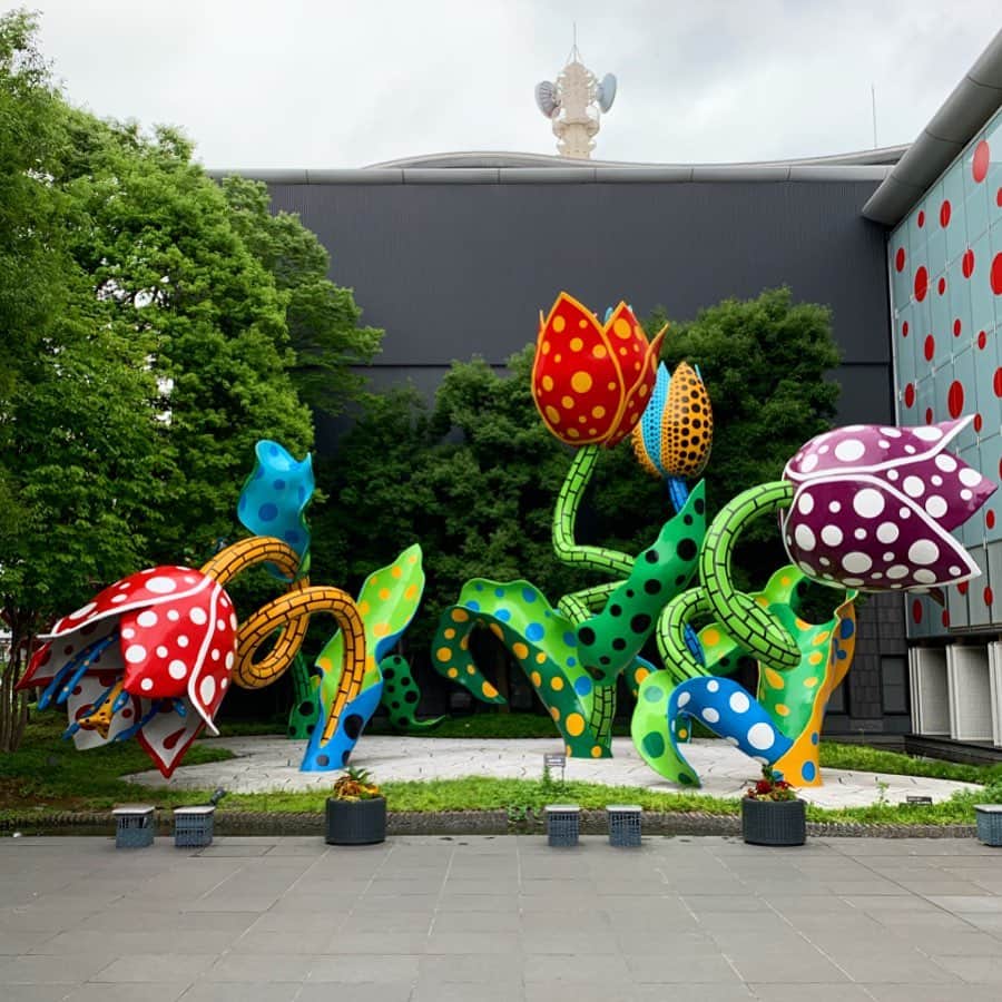 SHUHEI.Kさんのインスタグラム写真 - (SHUHEI.KInstagram)「最終目的地到着！ #草間彌生 作品のパワーに圧倒されました！」7月16日 12時34分 - kamishu14
