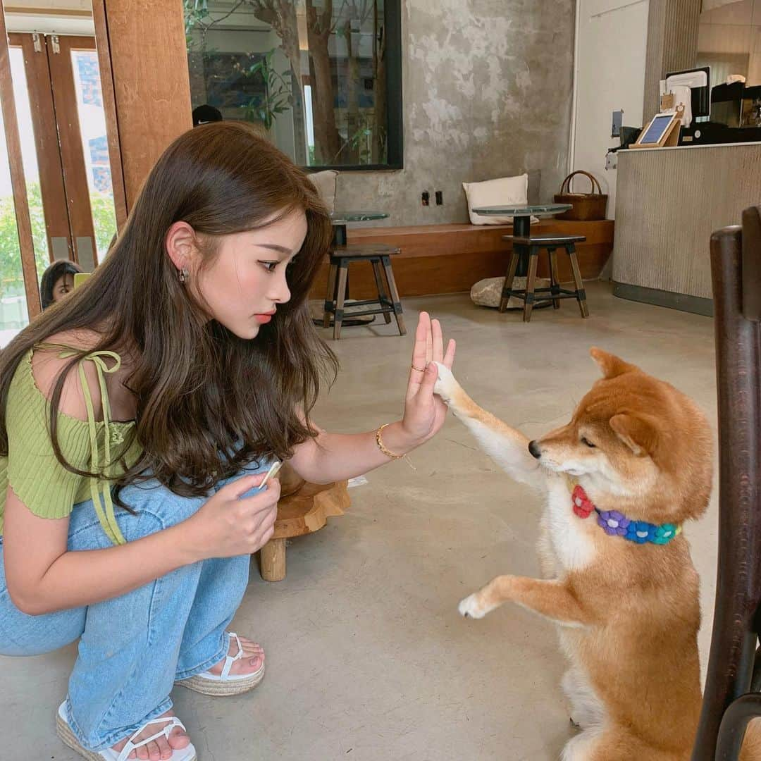 カン・ギョンミンさんのインスタグラム写真 - (カン・ギョンミンInstagram)「당신과의 하이파이브를 세어보아요 #룩앳민 #카페견과류」6月22日 23時19分 - kkmmmkk