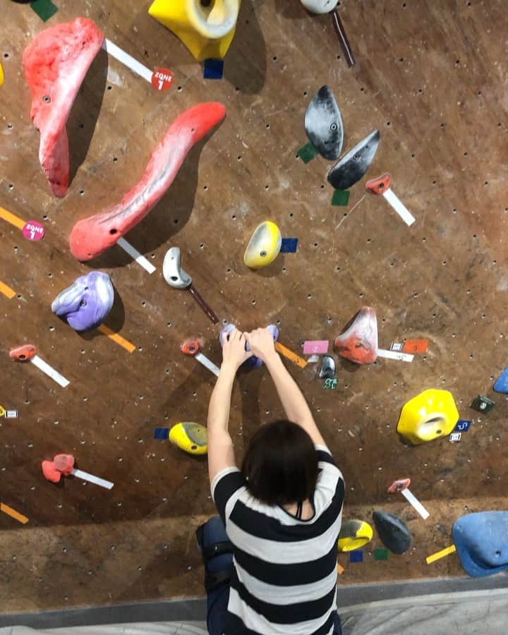 のインスタグラム：「【術後101日目 / 101 days after surgery】 First climbing, post-surgery‼️I can only try ones I won’t fall and can climb down, but it’s still climbing😤 ・ 昨日、先生から許可をもらったので、制限の範囲内で早速登ってきました✨12/8に怪我してから、半年以上ぶりのクライミング、いやー、楽しかったー😍 ・ ▶︎装具着用 ▶︎絶対に足を滑らせて落下しない ▶︎下までクライムダウンする ▶︎痛みのある動作は禁止 (自分的にはデッドの動作も禁止。ヒールは論外。基本的にスタティックで登ること) ・ 必然的に、不安要素0%の8級&7級レベルのガバ系課題しか登れないけれど、それでも登れるだけでも幸せ💖 ・ 手の皮が薄くなりすぎてて、10本も登れば指皮ヒリヒリでしたが、自分的にはそれくらいでちょうどよかったです😅 ・ 半年間眠っていたクライミングシューズも、ちゃんと入ってよかったwww ・ まずは登れる課題だけを反復しつつ、徐々に筋力つけていこう。懸垂できなくなってるのも地味に悲しかったから、懸垂も頑張ろう😤 ・ 今日はとりあえず登りたい欲が満たされて満足したから、当面は週一クライマーかな？ ・ #努力は絶対裏切らない #ろぎ子の復活までの記録 #膝脱臼 #複合靭帯損傷 #前十字靭帯断裂 (ACL) #後十字靭帯断裂 (PCL) #内側側副靱帯断裂 (MCL) #内側膝蓋大腿靭帯断裂 (MPFL)  #前十字靭帯再建 #後十字靭帯再建 #半月板縫合 #半月板部分切除 #nevergiveup #roadtorecovery #kneeinjury #kneeinjuryrecovery #kneeinjuryrehab #multipleligamenttears #aclrecovery #bouldering #climbing #basecamptokyo #ベースキャンプ東京 #クライミング #ボルダリング」