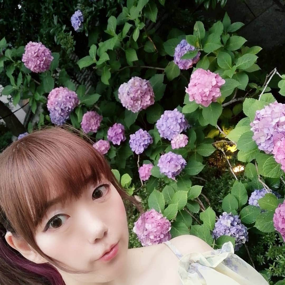 松本都さんのインスタグラム写真 - (松本都Instagram)「あじさいかわいいい✾　 #あじさい　#紫陽花　#梅雨 #selfie #かわいい」6月22日 22時16分 - matsumoto_miyako