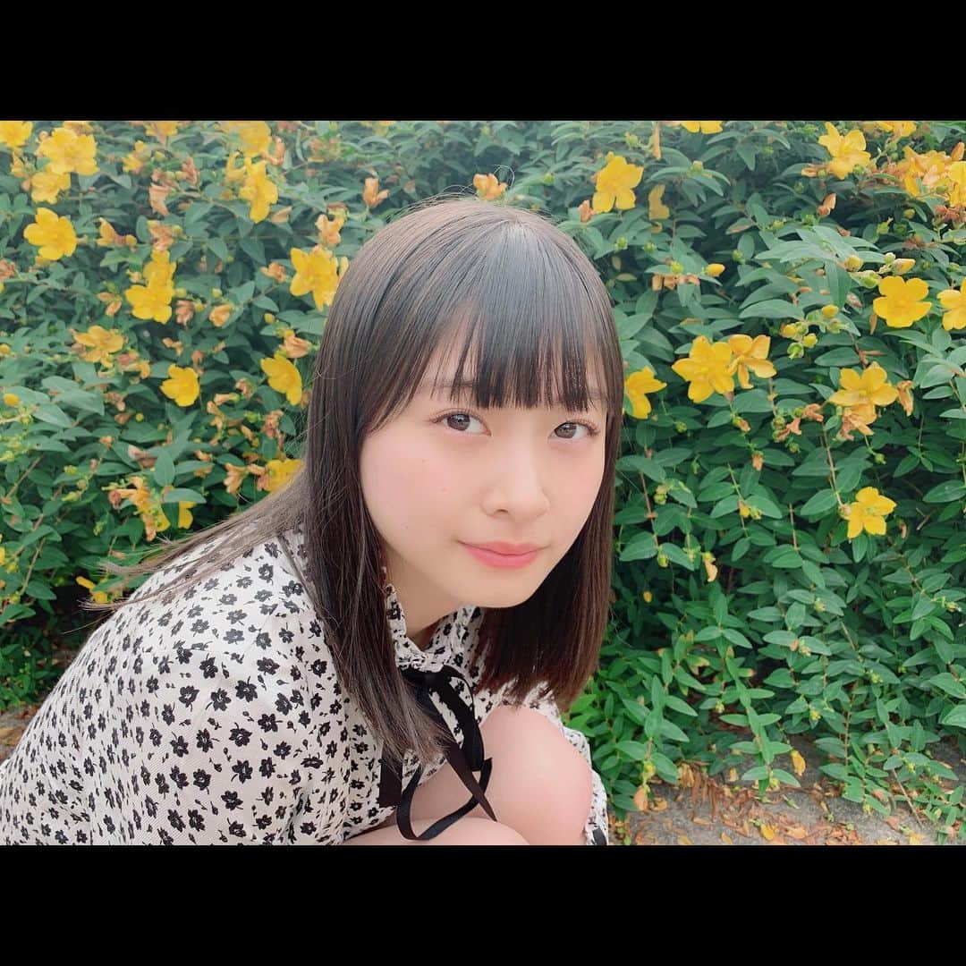松岡はなのインスタグラム：「🌼🌼🌼」