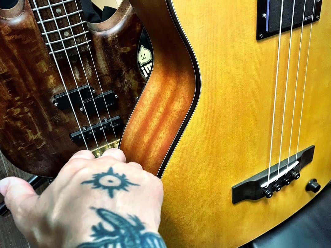 JIGEN のインスタグラム：「色々とコンテンツ作ったり宣伝したりと事務作業をしなきゃだけど、曲作って筋トレしてベース弾きまくっていて楽しい。ボイルチキン＋ブロッコリー＋プロテイン＋ベース…25年くらい前の生活が再びやってきたよ。とにかく、総合的に全力準備期間なのであーる。 《モモナシ☆わくわく体験ツアー2019／7月編》 7/5(金)吉祥寺STAR PINE'S CAFE 7/12(金)梅田ムジカジャポニカ 7/13(土)岐阜SOUL DYNA 7/14(日)愛知 谷性寺」
