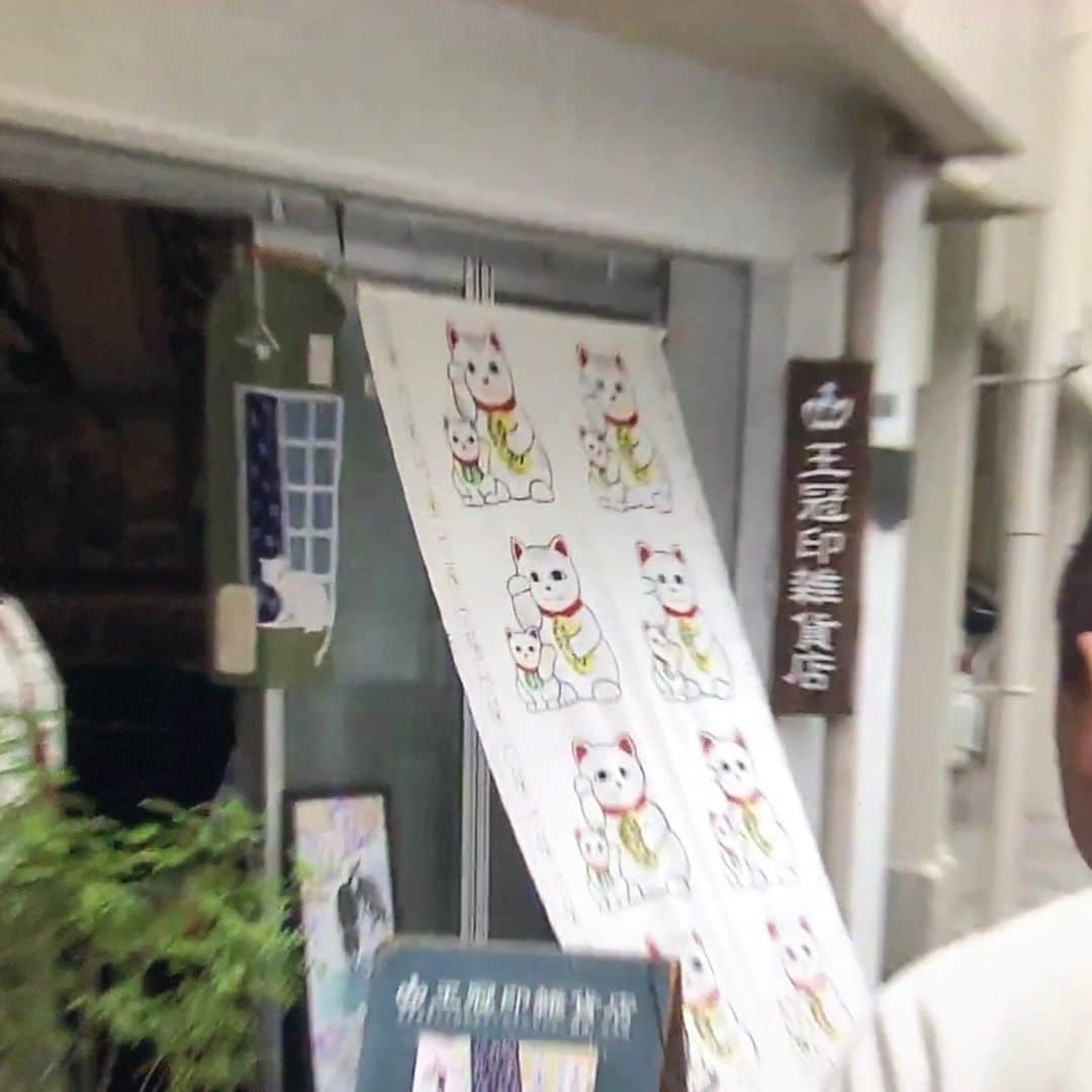 みずしな孝之のインスタグラム：「本日放送になった 日本テレビ「ぶらり途中下車の旅」で、 お世話になっている王冠印雑貨店が紹介された流れで ちらっとみずしなのTシャツも映り込んでました。 貴重カット！ 他にもたくさんの猫グッズ紹介されてましたので気になられた方はぜひお店に！ 見慣れてる番組に映るとテンションあがりますね！ 見逃し配信もありますよ！→ https://cu.ntv.co.jp/burari_20190622/‬」