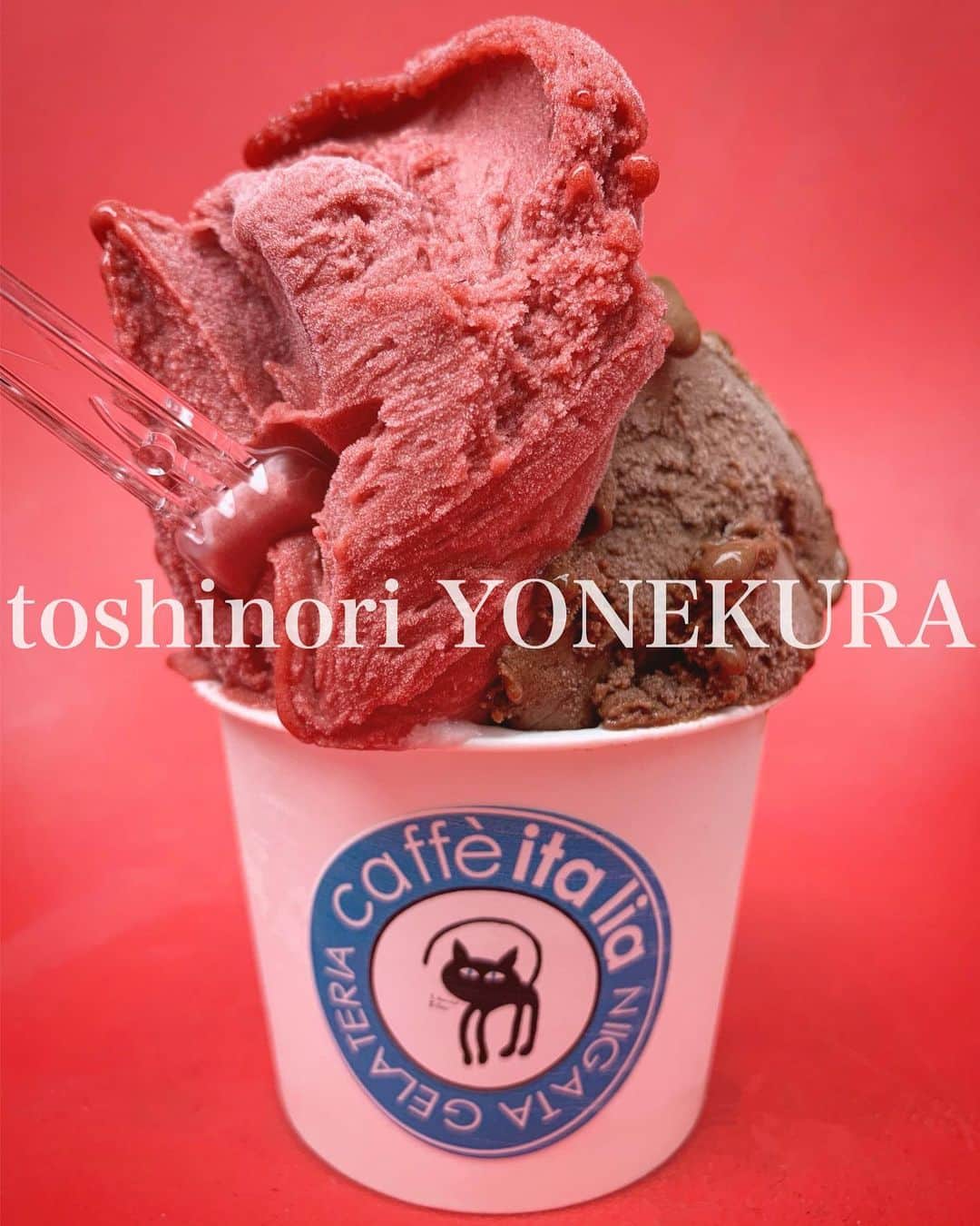 米倉利紀のインスタグラム