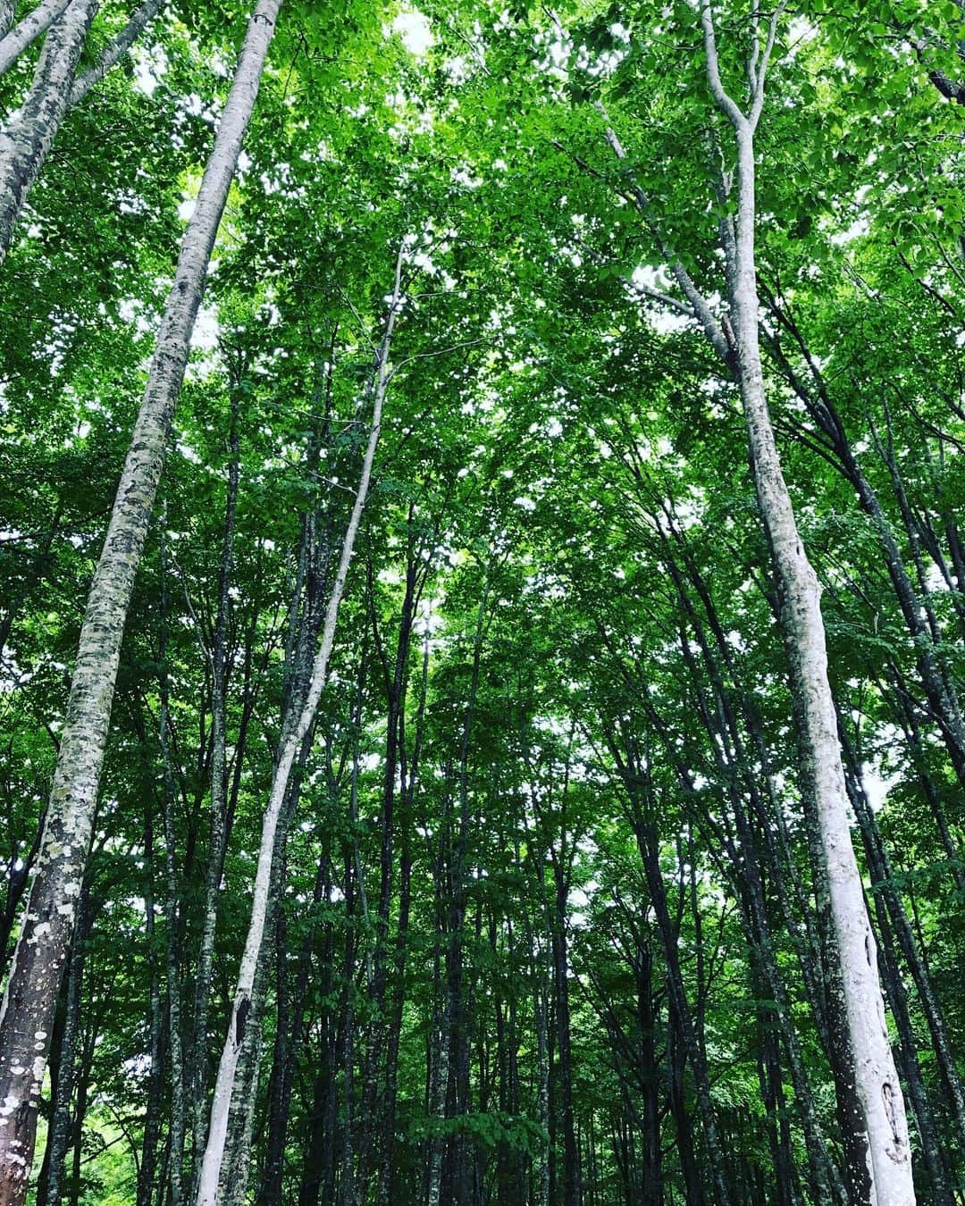 MACKA-CHINのグルメインスタ